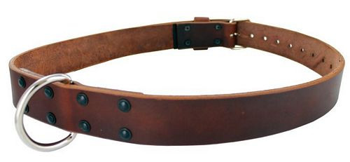 Gould & Goodrich Model 189 Restraining Belt